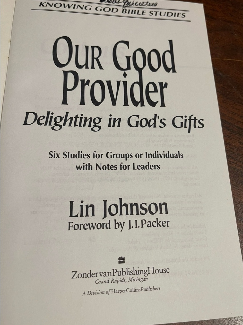 Our Good Provider: Delighting in God's Gifts by Lin Johnson